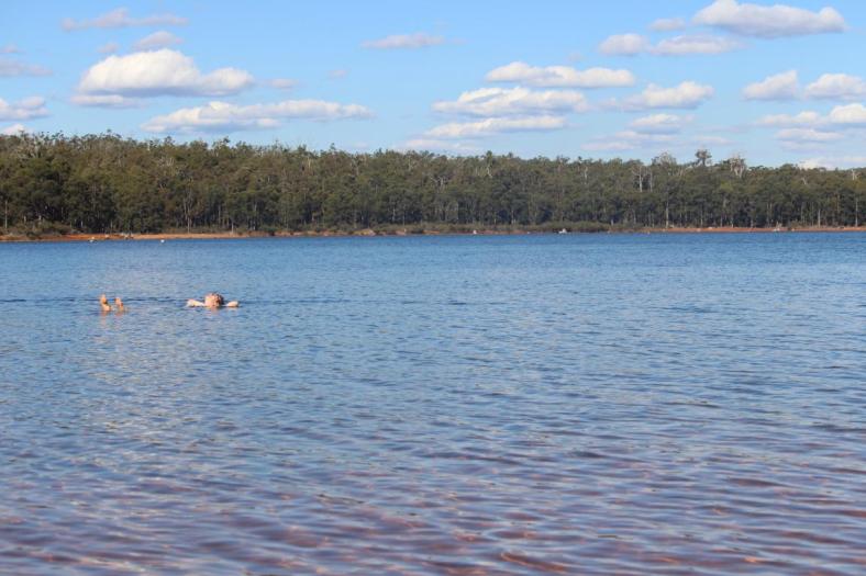 Badevergnügen im Stausee, Wellington NP
