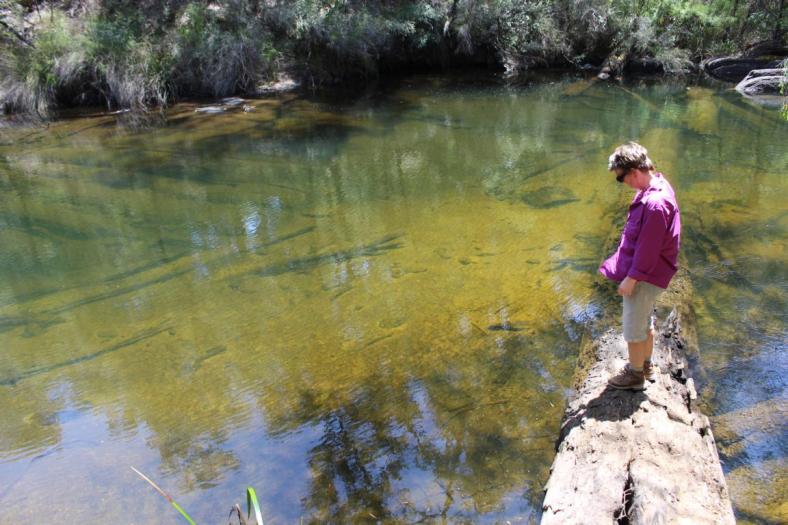 Honeymoon Pool, Wellington NP
