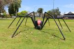 Ein Redback Spider im Park von Nannup