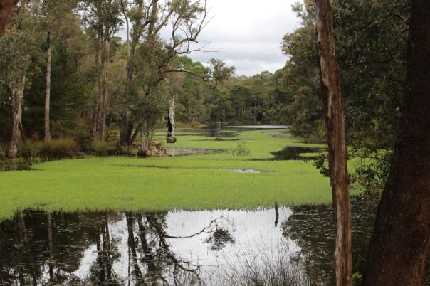 Grimvade Settlement Camp