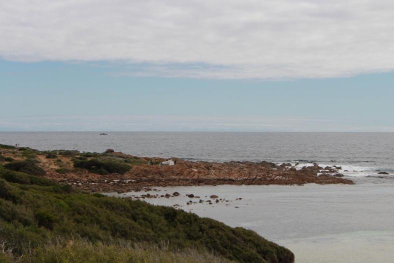 Die Australier suchen interessante Plätze für Hochzeitsfotos, Yallingup