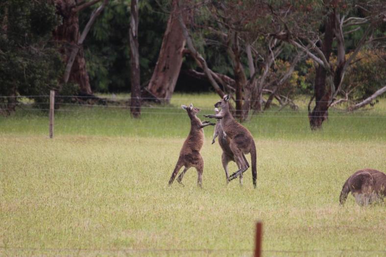 Hier wird schon mal geprobt