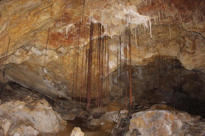 Baumwurzeln hängen herab, Calgardup Cave, Leeuwin-Naturaliste NP