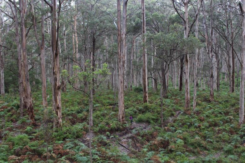 Leeuwin-Naturaliste NP