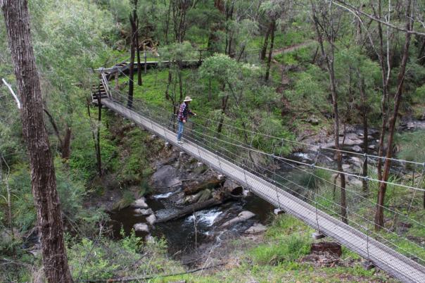 Hängebrücke im Greater Beedelup NP