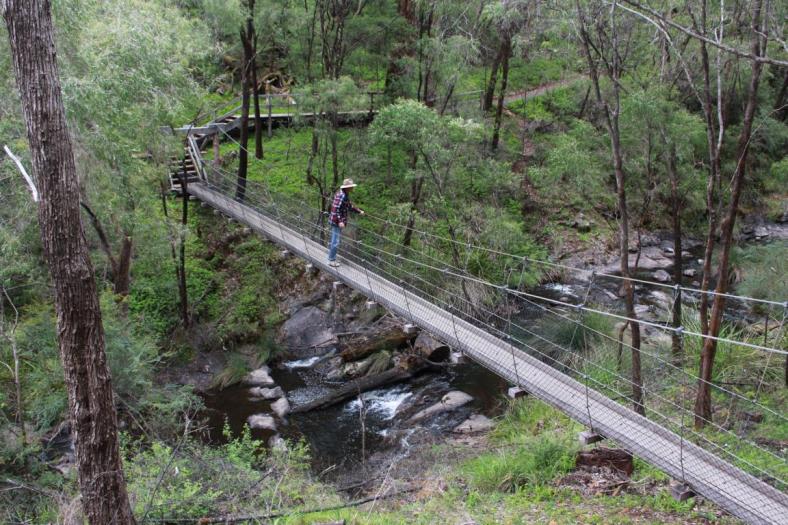 Hängebrücke im Greater Beedelup NP