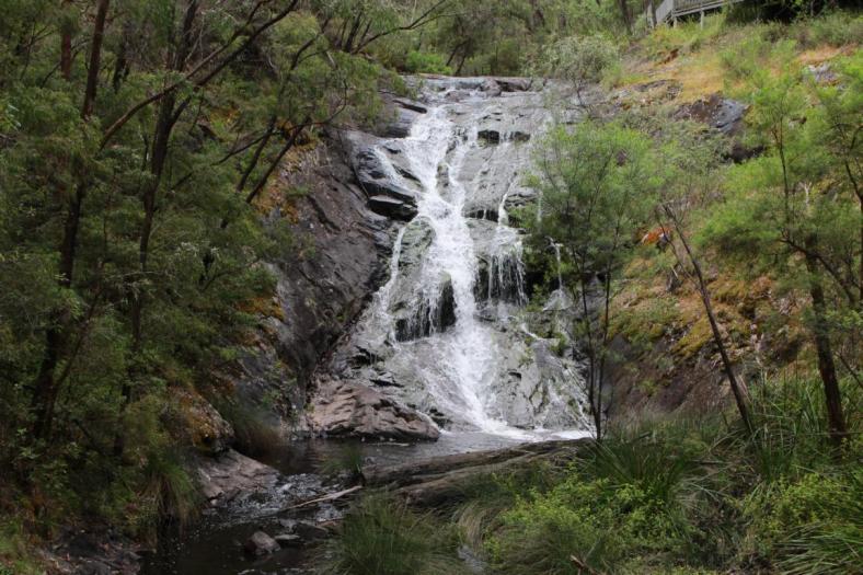 Beedelup Falls von der Brücke aus