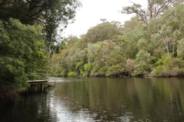 Viele Bademöglichkeiten am Warren River, Warren NP