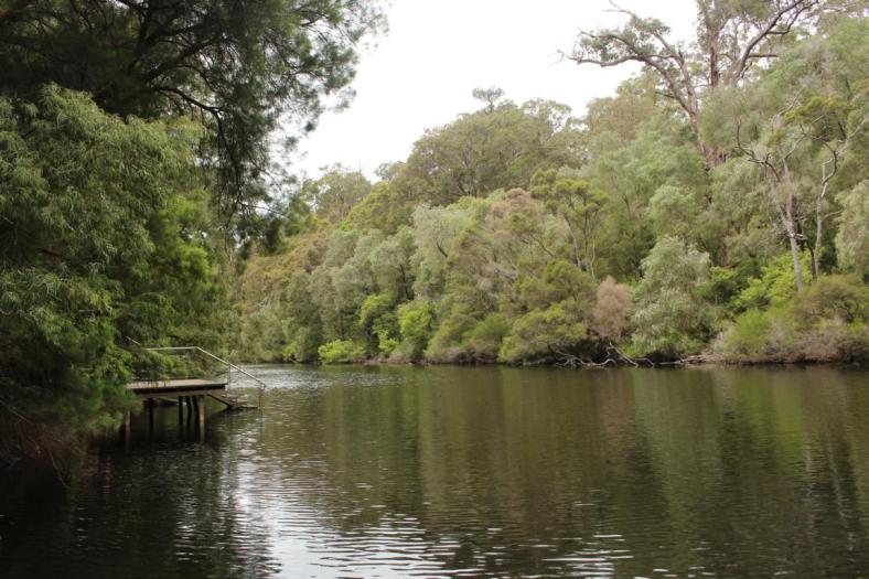 Viele Bademöglichkeiten am Warren River, Warren NP