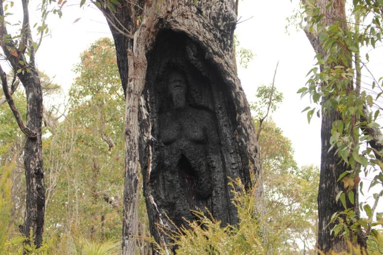 Rising from the ashes