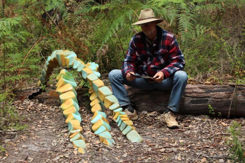 Metameres at work, Ian Dowling