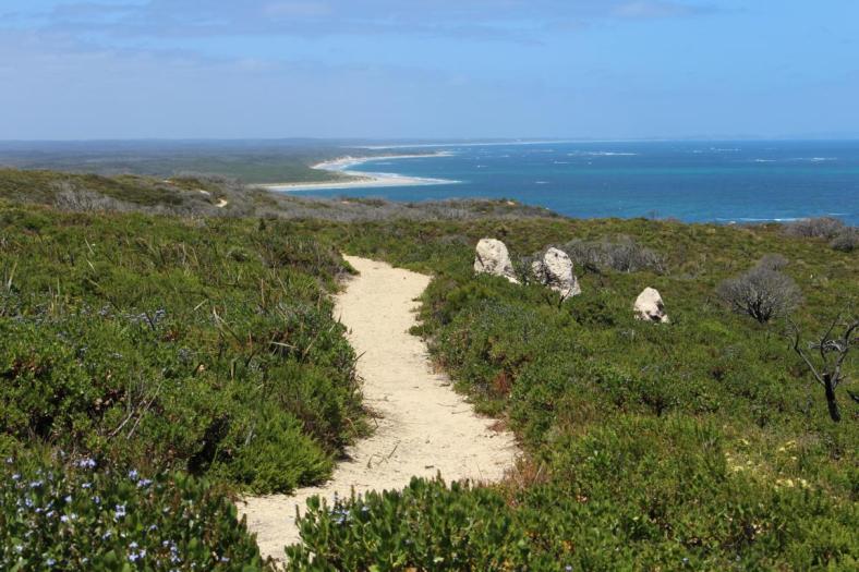 D'Entrecasteaux Point bei Windy Harbour