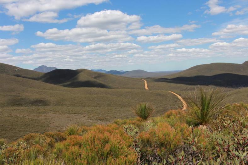 Blick vom Central Lookout, Stirling Range NP