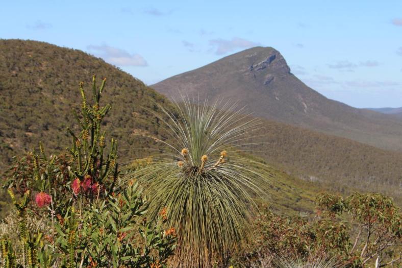 Stirling Range NP