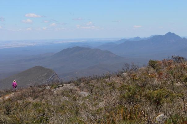 Blick vom Bluff Knoll, Stirling Range NP