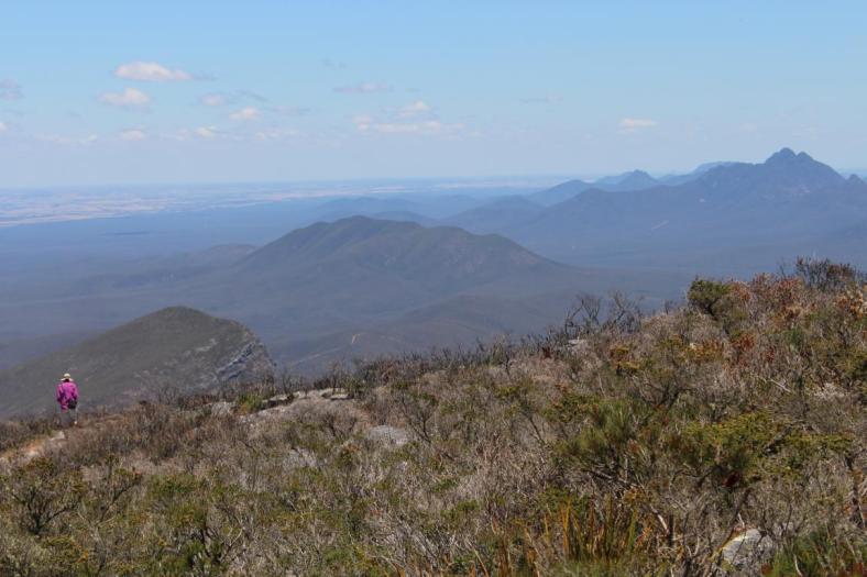 Blick vom Bluff Knoll, Stirling Range NP