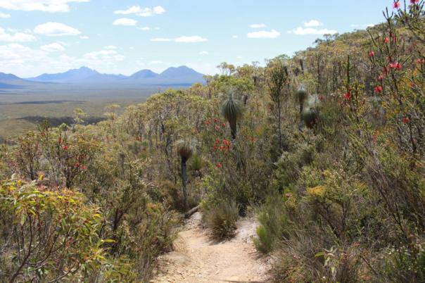 Stirling Range NP