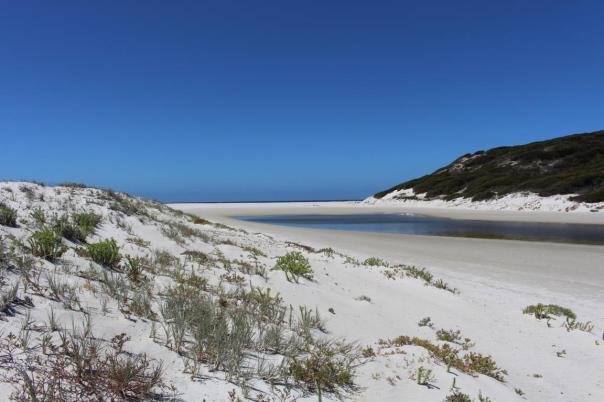 Sandbank zum Hamersley Inlet, Fitzgerald River NP