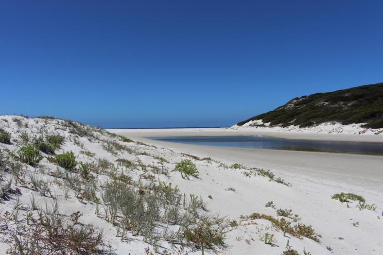 Sandbank zum Hamersley Inlet, Fitzgerald River NP