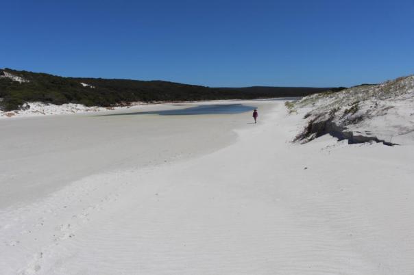 Sandbank zum Hamersley Inlet, Fitzgerald River NP
