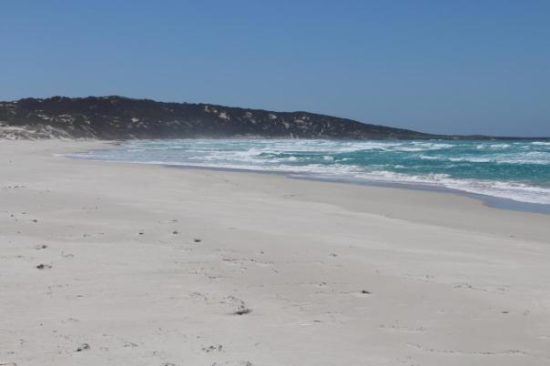 Hamersley Beach, Fitzgerald River NP