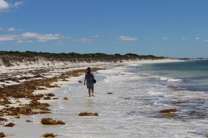 Spaziergang nach einer stürmischen Nacht, Mason Bay