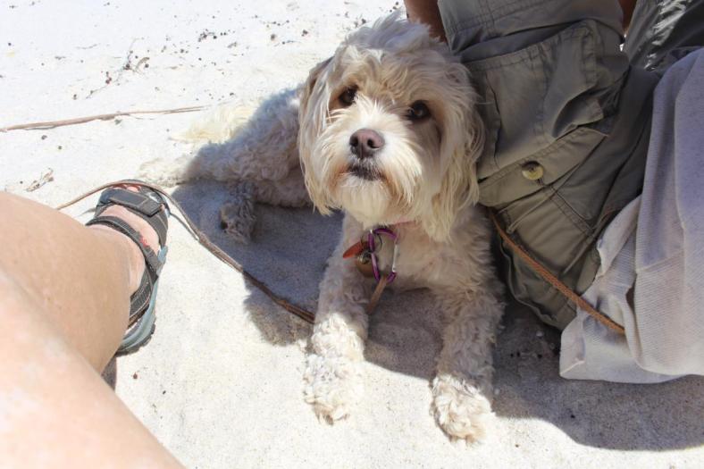 Thomas Schatten tut gut, Mason Bay