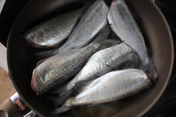 Eric verwöhnt uns mehrmals mit frisch gefangenem Hering