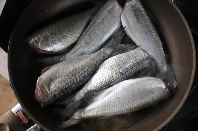 Eric verwöhnt uns mehrmals mit frisch gefangenem Hering