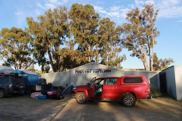 Sind zum Schutz vor Wind umgezogen, Oval Esperance