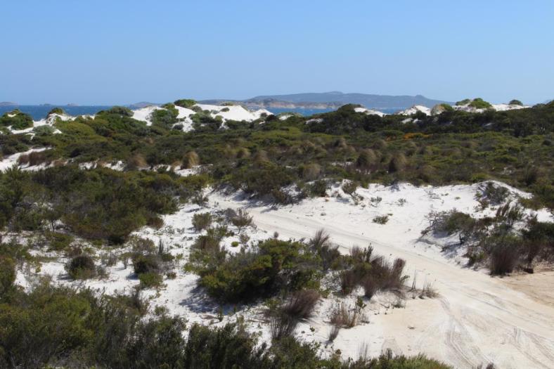 Sanddünen bei Dunn Rocks, Cape Le Grand NP