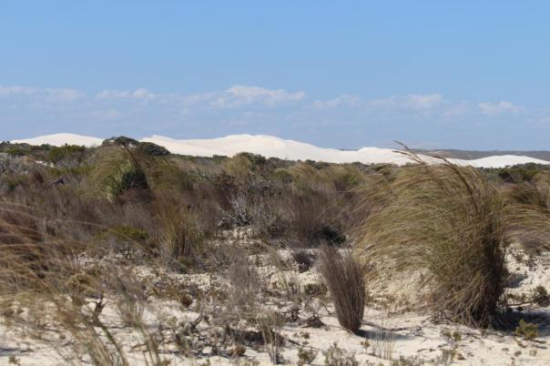 Sanddünen im Cape Le Grand NP