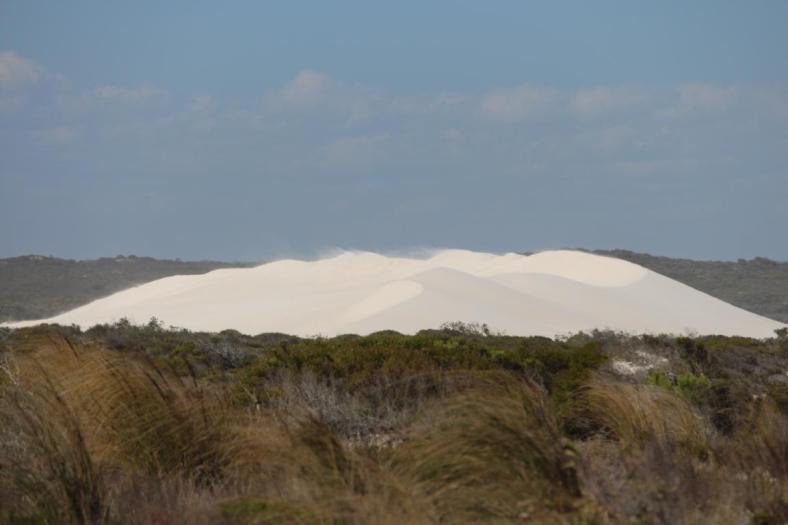 Sanddünen im Cape Le Grand NP