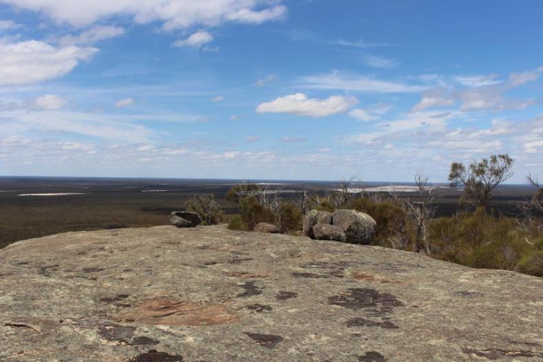 Blick vom Mt. Ridley