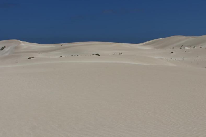 Sanddünen bei Fowlers Bay