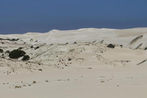 Sanddünen bei Fowlers Bay