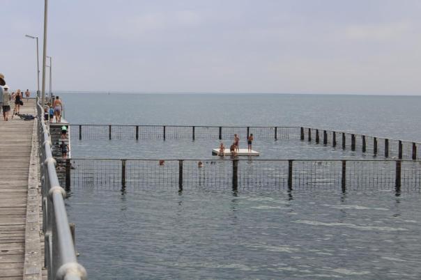 Ein gesicherter Pool an der Jetty zum Schutz gegen Haiattacken, Jetty Streaky Bay
