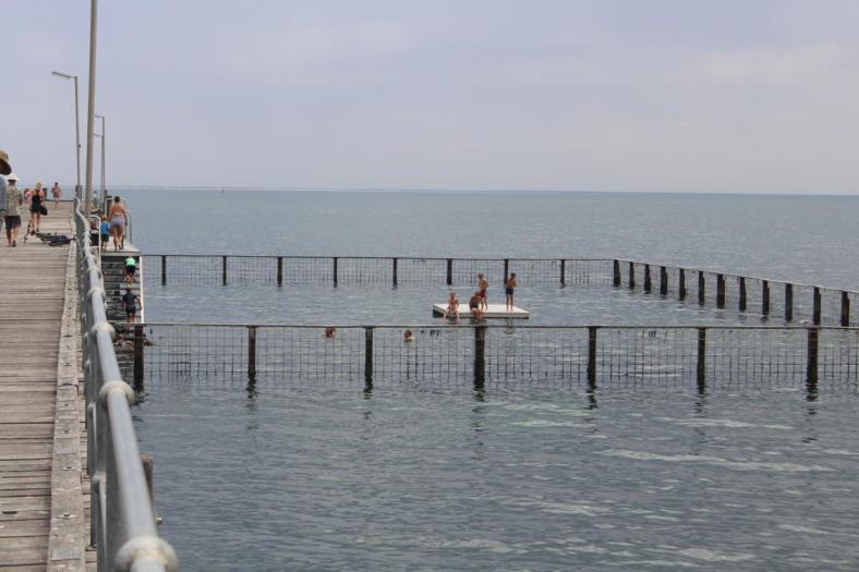 Ein gesicherter Pool an der Jetty zum Schutz gegen Haiattacken, Jetty Streaky Bay