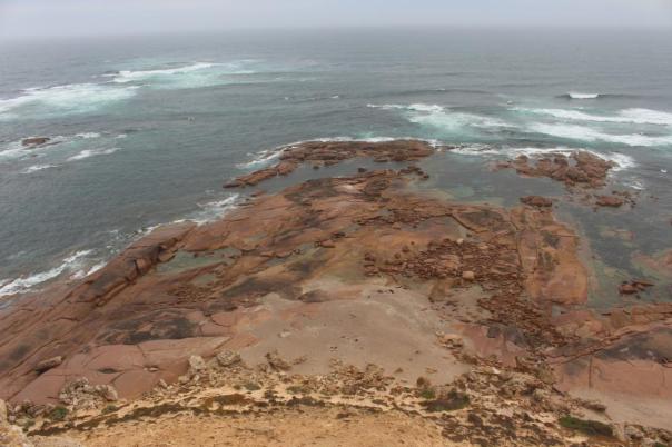 Pt. Labatt Conservation Park, Seelöwen Colony