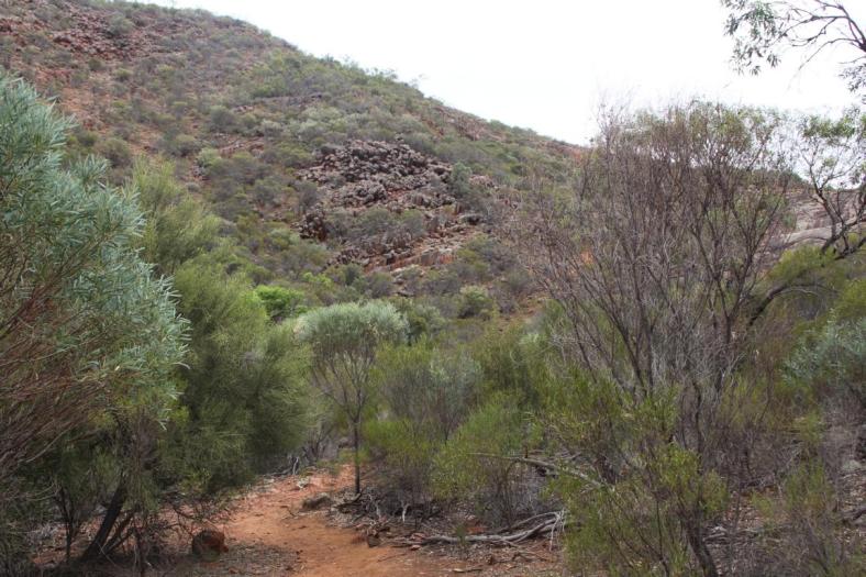 Organ Pipes, Gawler Ranges NP