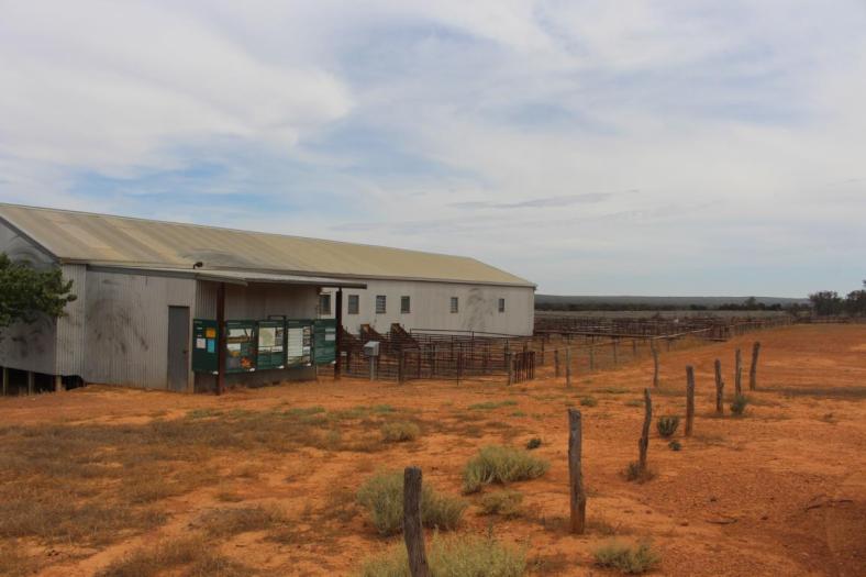 Schafscherhaus, Gawler Ranges NP