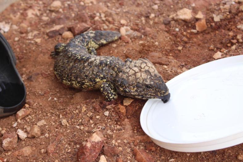 ... das Wasser tut gut