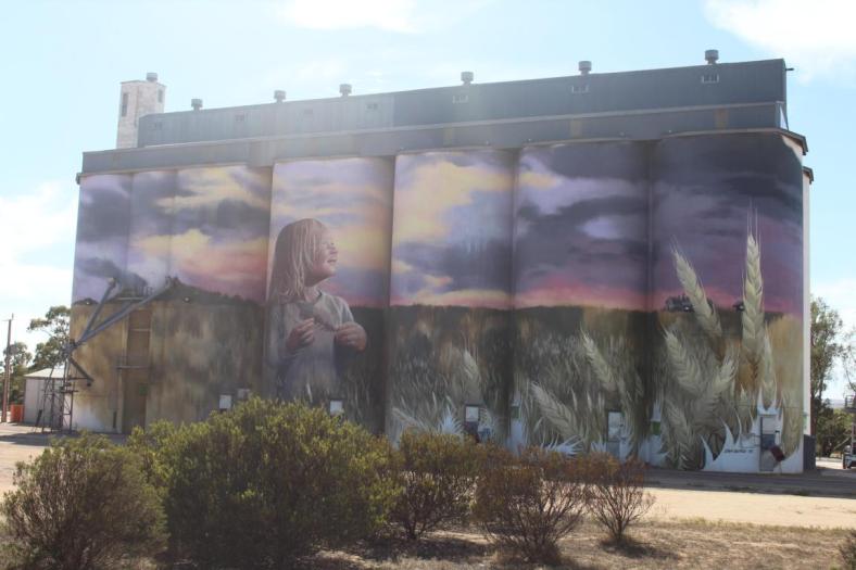 26 Tage und 200 Liter Farbe brauchte Cam Scale, Kimba