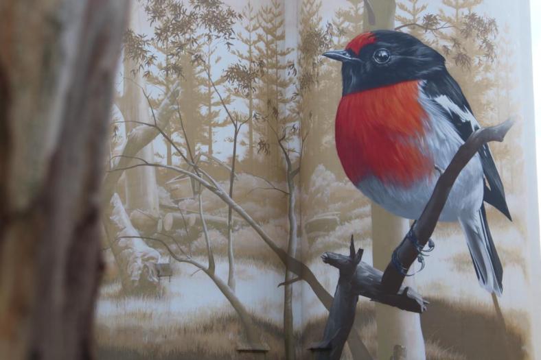 Silo Art in Wirrabara