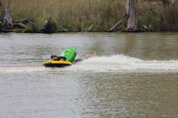Wie lange er das wohl durchhält