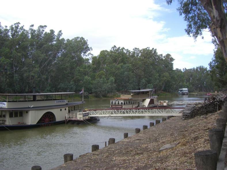 Der Murray in Echuca