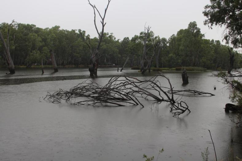Lower Owens State Game Reserve