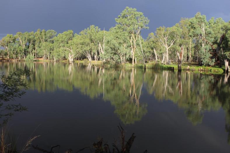 Lower Owens State Game Reserve