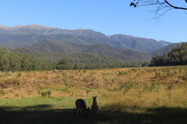 Blick von unserem Camp, Geehi Camp