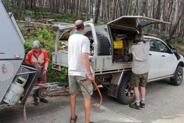 Feuerholz gibt es überall, Alpine NP